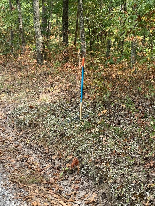 0 Rocky Point Rd, Stewart, TN 37175