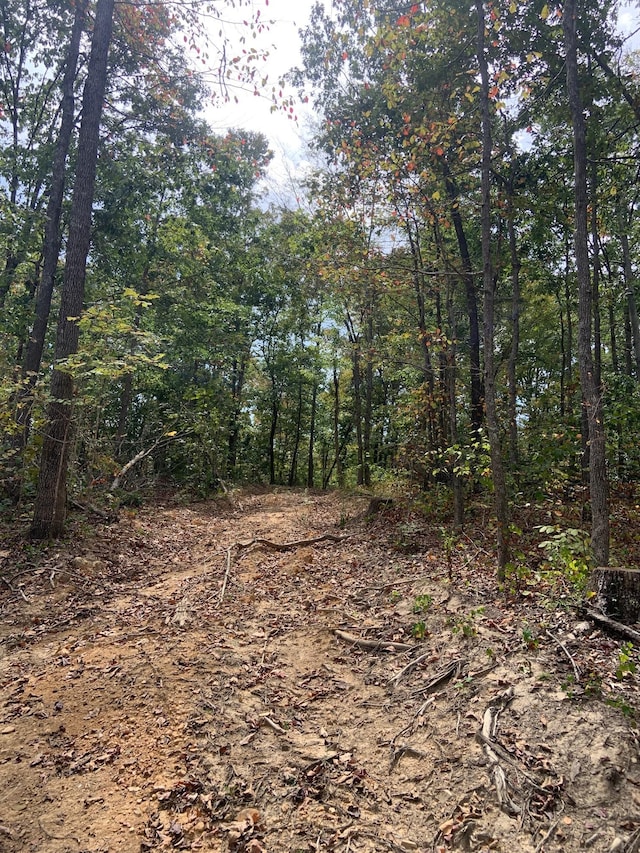 0 Rocky Point Rd, Stewart, TN 37175