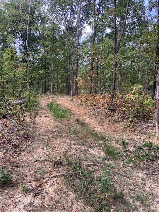 0 Rocky Point Rd, Stewart, TN 37175
