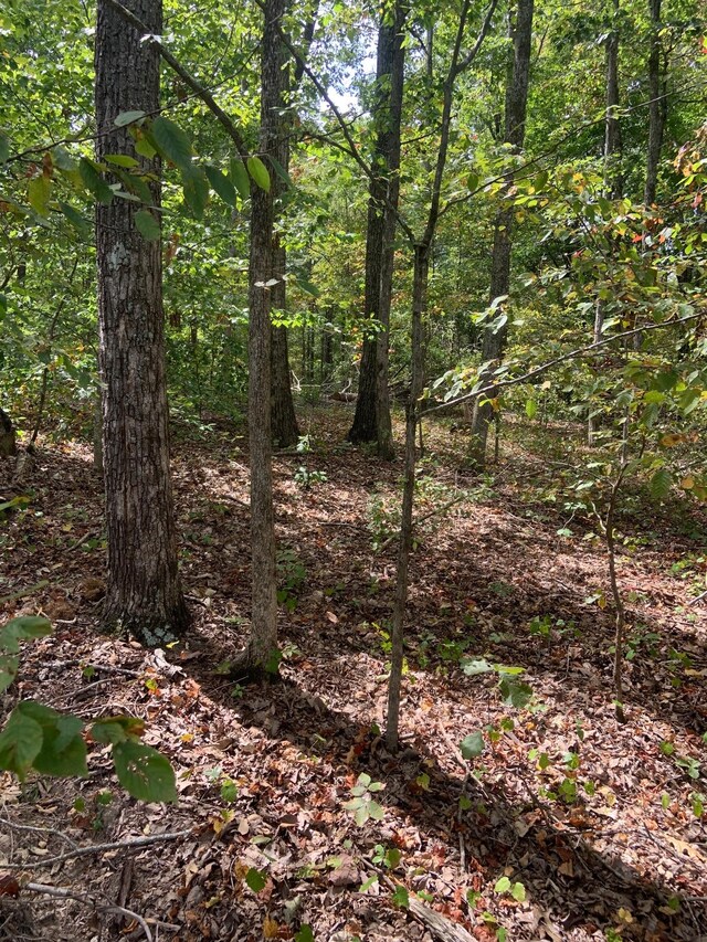 0 Rocky Point Rd, Stewart, TN 37175