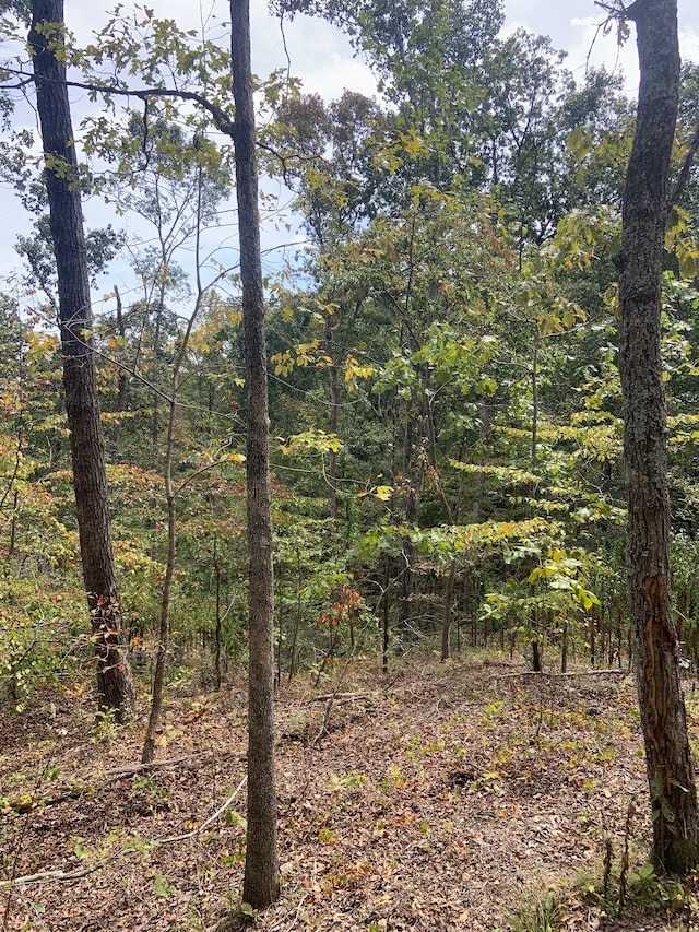 Listing photo 3 for 0 Rocky Point Rd, Stewart TN 37175