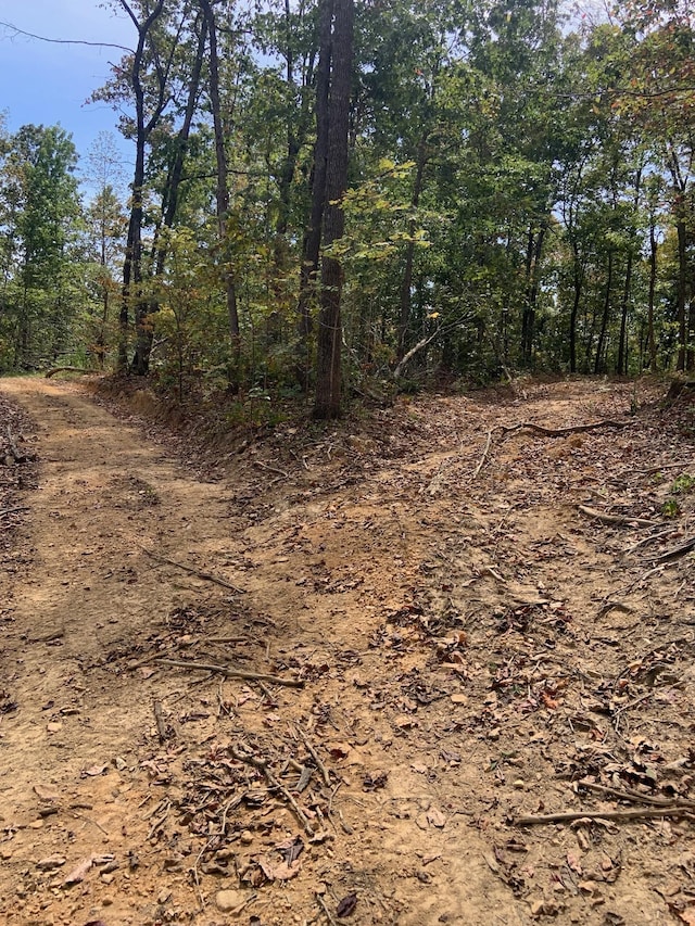 0 Rocky Point Rd, Stewart, TN 37175