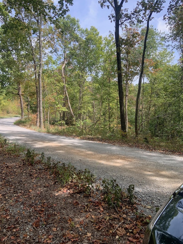 0 Rocky Point Rd, Stewart, TN 37175
