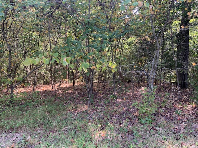 0 W Main St, Erin, TN 37061