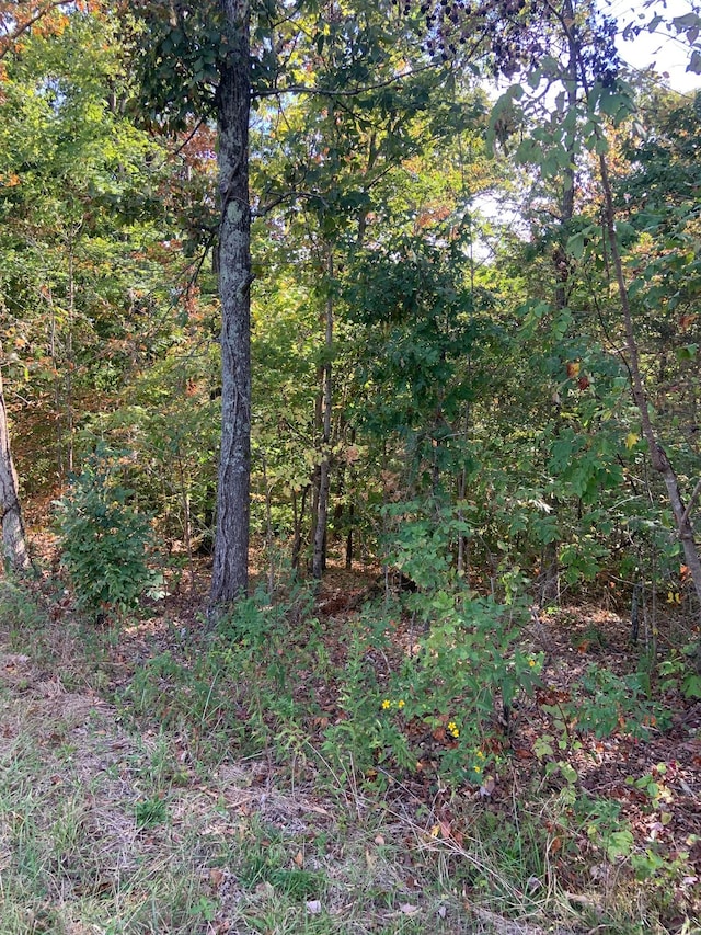 0 W Main St, Erin, TN 37061
