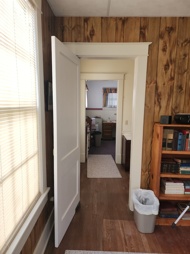 corridor with dark hardwood / wood-style flooring and wood walls