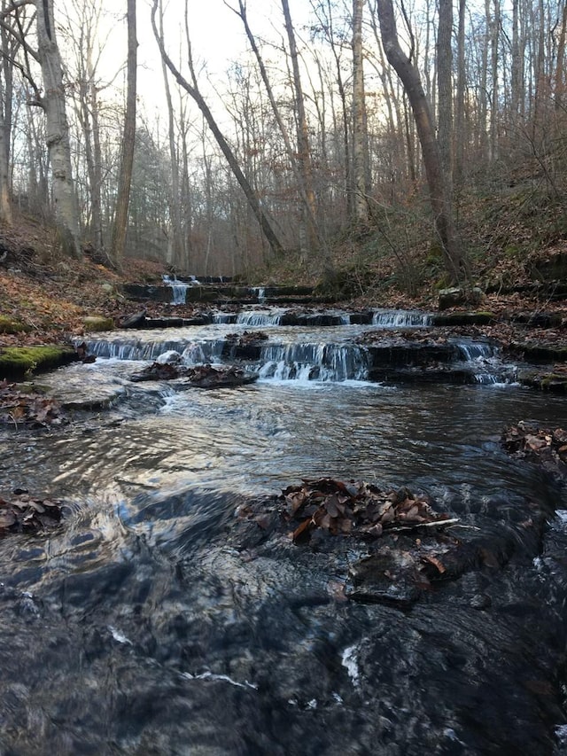 view of water feature