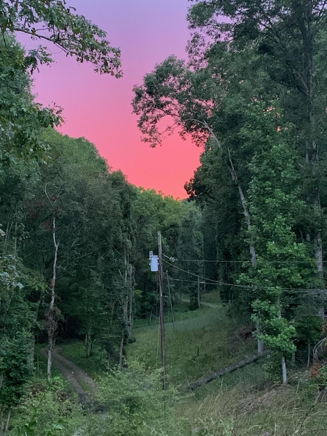 view of nature with a forest view