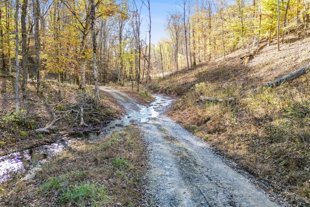 view of road with a wooded view