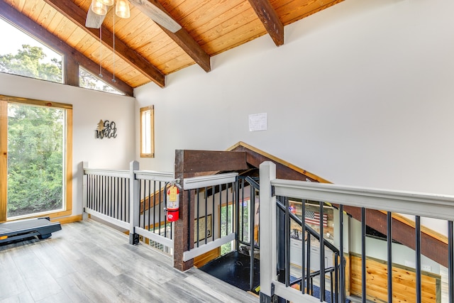 interior space featuring wood ceiling, wood-type flooring, and ceiling fan