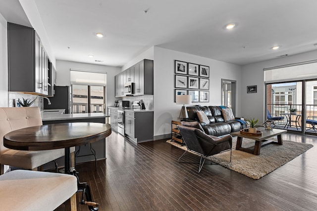 living room featuring dark hardwood / wood-style flooring and sink