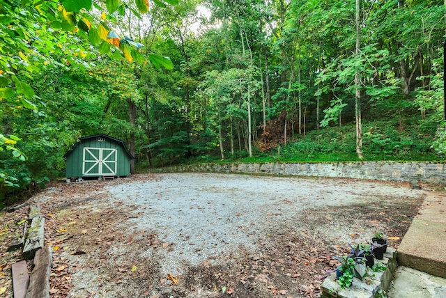 view of yard with a storage shed