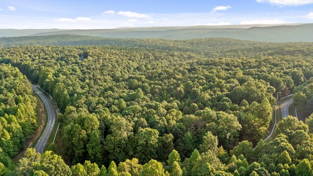 aerial view featuring a mountain view