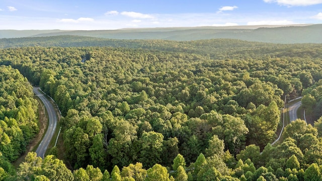 birds eye view of property with a view of trees and a mountain view