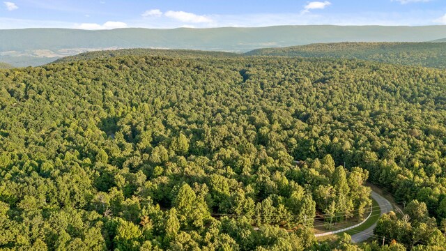 aerial view featuring a mountain view