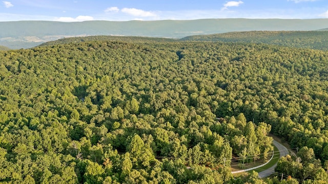 birds eye view of property featuring a view of trees and a mountain view