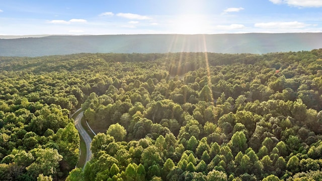 mountain view featuring a forest view