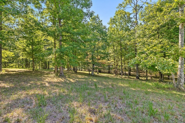 view of yard featuring a wooded view