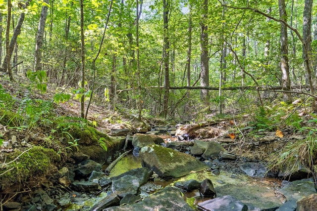 view of landscape with a wooded view
