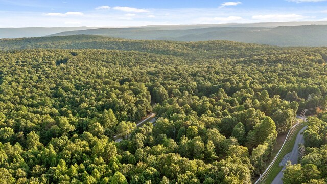 drone / aerial view with a mountain view