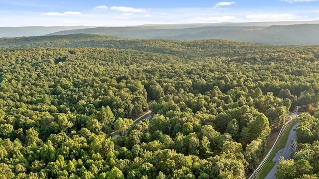 birds eye view of property featuring a mountain view and a wooded view