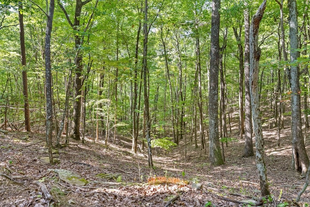 view of landscape featuring a forest view