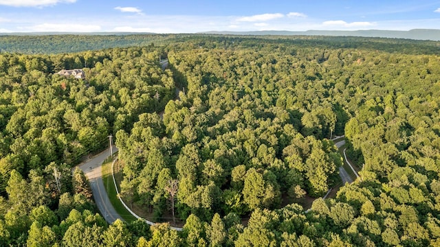 bird's eye view with a wooded view