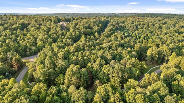 birds eye view of property featuring a wooded view