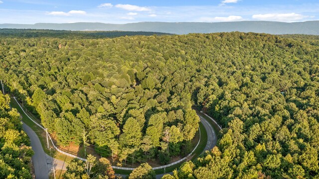 bird's eye view with a mountain view