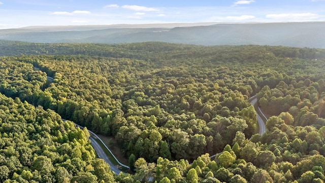 drone / aerial view featuring a mountain view and a forest view