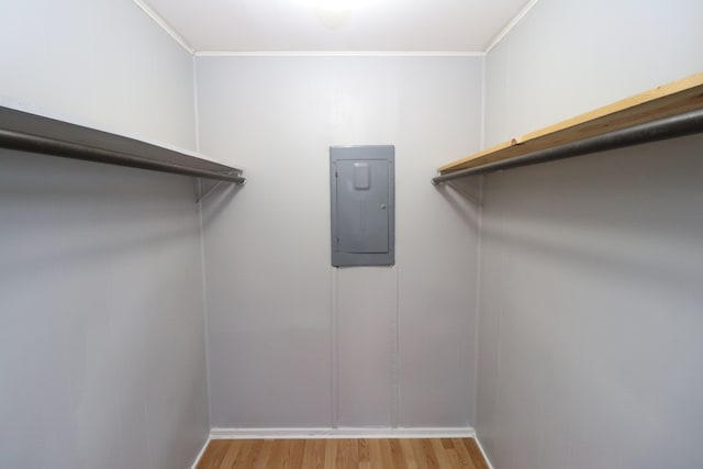 walk in closet with electric panel and light wood-type flooring