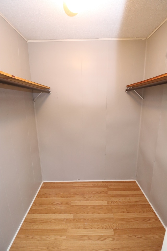 walk in closet with wood-type flooring