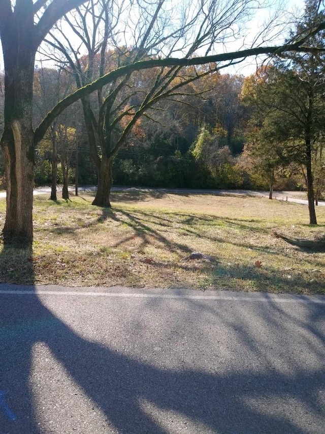 0 Moss Rd, Antioch, TN 37013 - photo 5