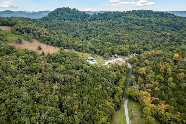 4818 Ensor Hollow Rd, Buffalo Valley, TN 38548 - bird's eye view featuring a forest view