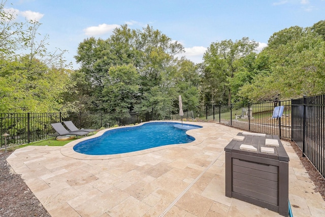 4818 Ensor Hollow Rd, Buffalo Valley, TN 38548 - view of pool featuring a patio area, a fenced in pool, and fence