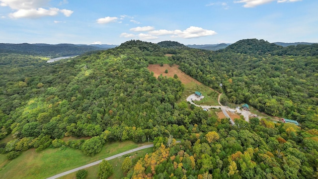 4818 Ensor Hollow Rd, Buffalo Valley, TN 38548 - aerial view with a view of trees and a mountain view