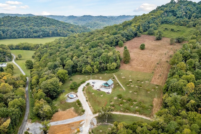 4818 Ensor Hollow Rd, Buffalo Valley, TN 38548 - drone / aerial view with a wooded view and a mountain view
