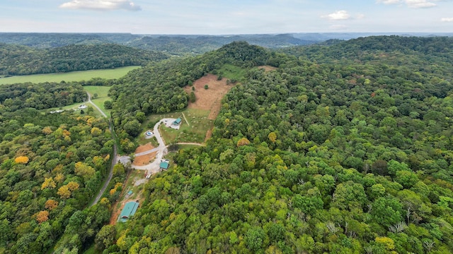 4818 Ensor Hollow Rd, Buffalo Valley, TN 38548 - bird's eye view with a forest view