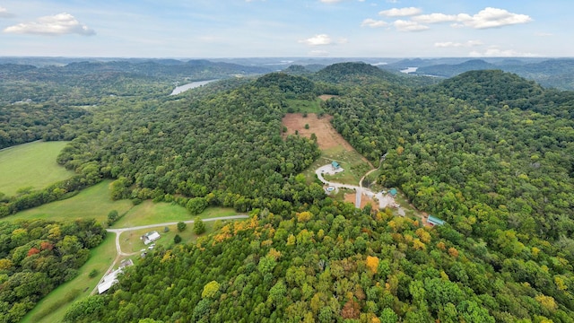 4818 Ensor Hollow Rd, Buffalo Valley, TN 38548 - bird's eye view featuring a view of trees