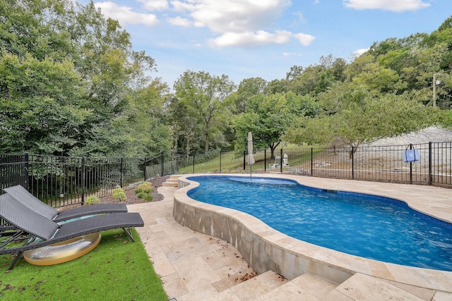 4818 Ensor Hollow Rd, Buffalo Valley, TN 38548 - view of pool with fence, a patio area, and a fenced in pool