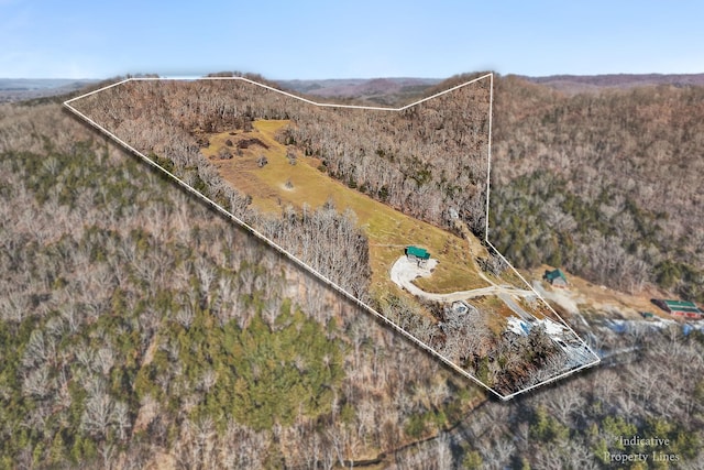 4818 Ensor Hollow Rd, Buffalo Valley, TN 38548 - bird's eye view