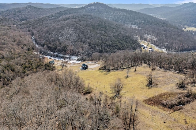 4818 Ensor Hollow Rd, Buffalo Valley, TN 38548 - view of mountain feature with a forest view