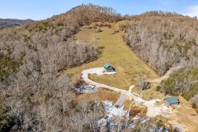 4818 Ensor Hollow Rd, Buffalo Valley, TN 38548 - birds eye view of property