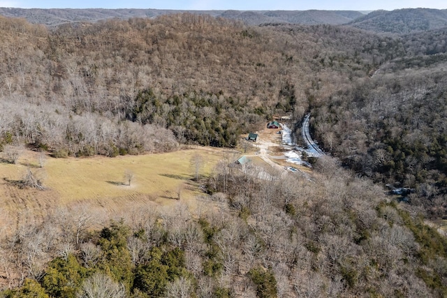 4818 Ensor Hollow Rd, Buffalo Valley, TN 38548 - drone / aerial view with a forest view and a mountain view