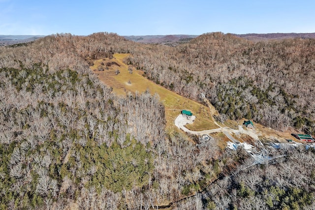 4818 Ensor Hollow Rd, Buffalo Valley, TN 38548 - aerial view with a view of trees