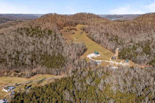4818 Ensor Hollow Rd, Buffalo Valley, TN 38548 - bird's eye view with a forest view