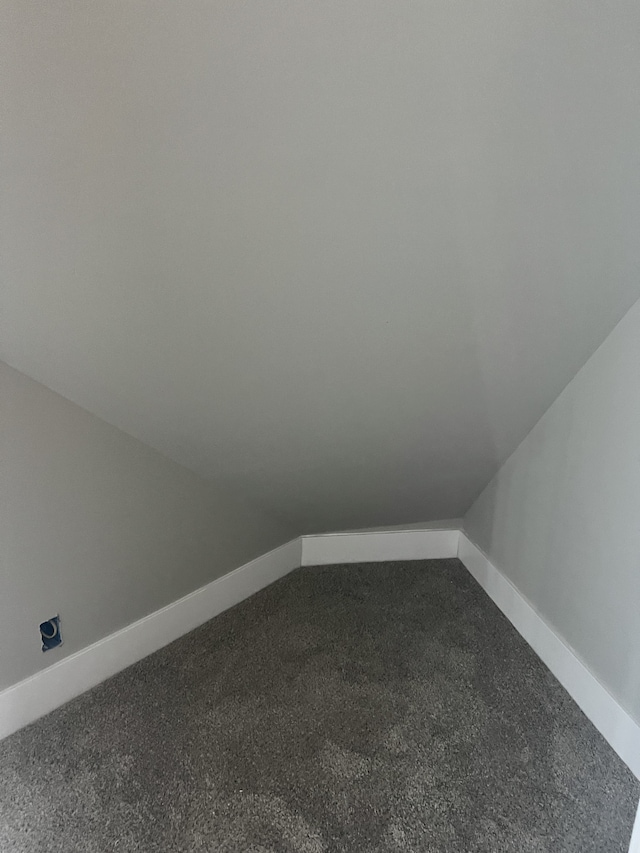 bonus room featuring vaulted ceiling and carpet floors