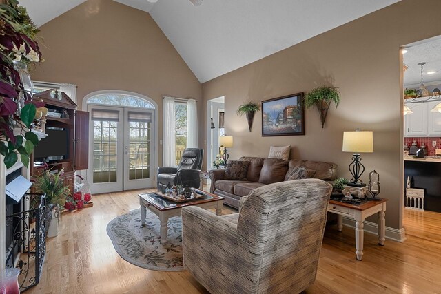 living room featuring high vaulted ceiling and light hardwood / wood-style floors