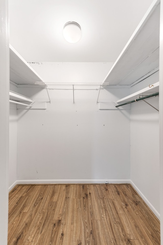 walk in closet with wood-type flooring