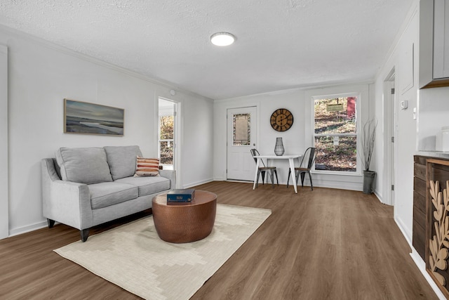 living room with ornamental molding, dark wood-type flooring, and a textured ceiling